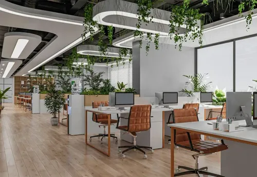 Contemporary Office Plant Decoration: Transform Your Workspace Today